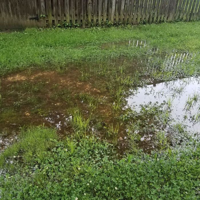 How To Prevent Water Pooling in Your Yard Steel City Waterstoppers